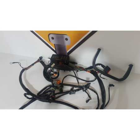 Electrical Wirings Harley Davidson Fat Boy - FLSTF - 2003 