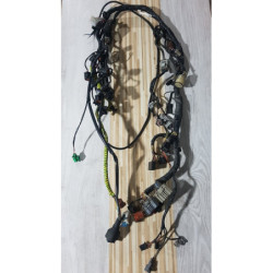 Electrical Wirings Kawasaki Ninja 636 - 2004 2