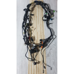 Electrical Wirings Kawasaki Ninja ZX 250 R - 2010 