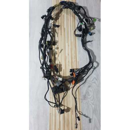 Electrical Wirings Kawasaki Ninja ZX 250 R - 2010 