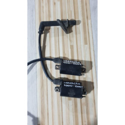 Ignition Coil & Coil Plug Honda Varadero XL 1000V - 2001 