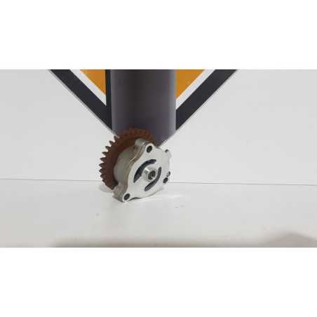 Pompa Ulei Suzuki Gladius SFV 650 - 2011 