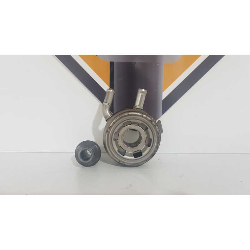 Termoflot & Surub Suzuki Gladius SFV 650 - 2011 