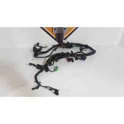 Electrical Wirings Suzuki Gladius SFV 650 - 2011 2