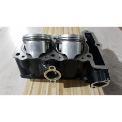 Cylinder & Pistons Kawasaki Ninja ZX250R - 2010 2