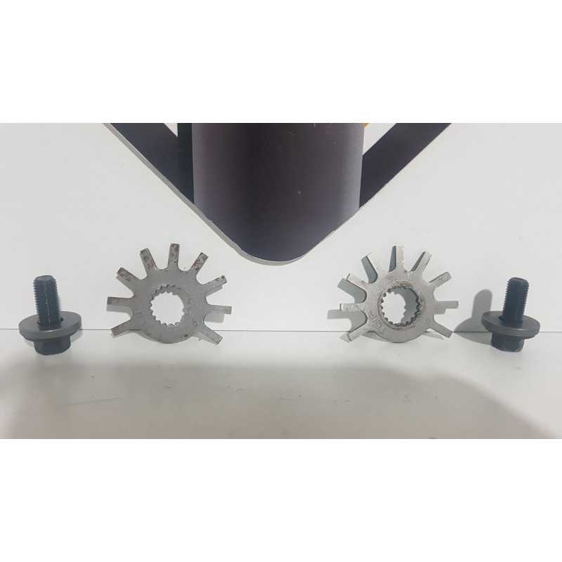 Ignition Timing & Screw Honda CBR 600 - F4 - 1999 