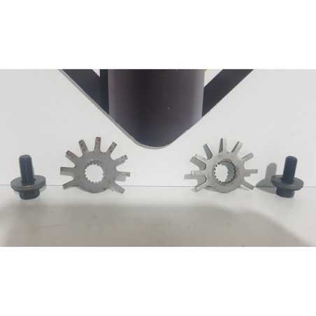 Ignition Timing & Screw Honda CBR 600 - F4 - 1999 