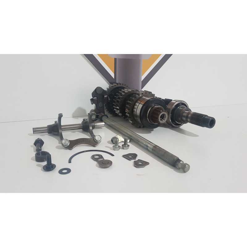 Cutie Viteza Honda CBR 900 RR - SC 33A - 1999 