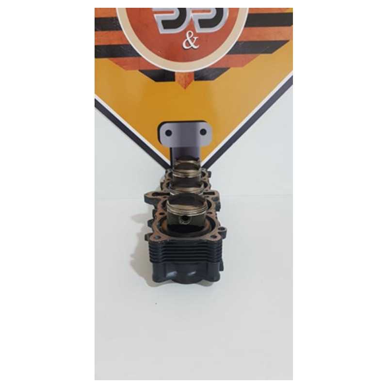 Cylinders & Pistons Suzuki RF 600 - GN 72A - 1994 