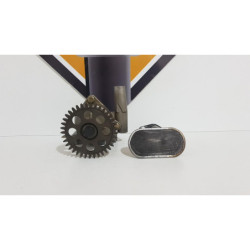 Oil Pump Suzuki RF 600 - GN 72A - 1994 2