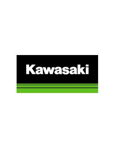 KAWASAKI
